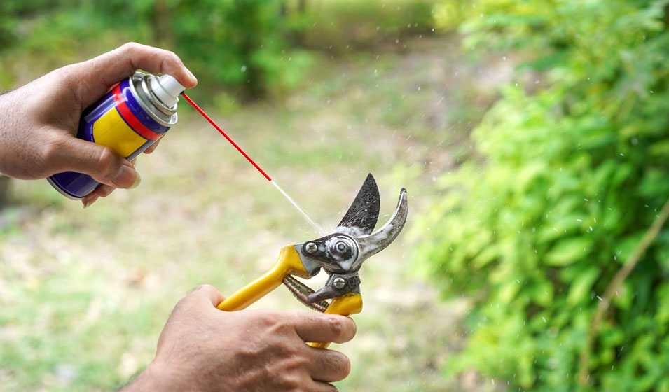 comment nettoyer les outils de jardin rouillés